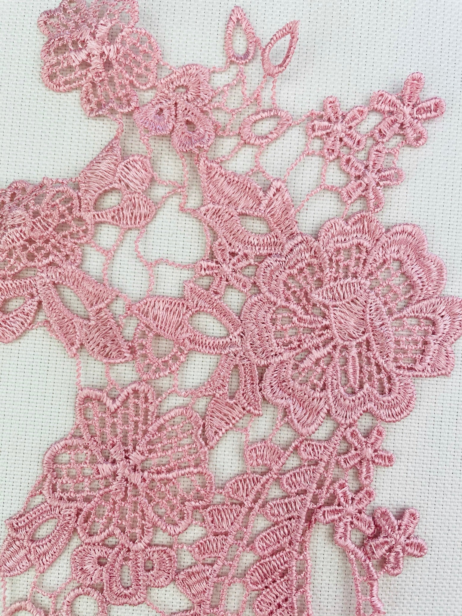LA - 007 - Dusty Pink lace Pair - Aleemahs