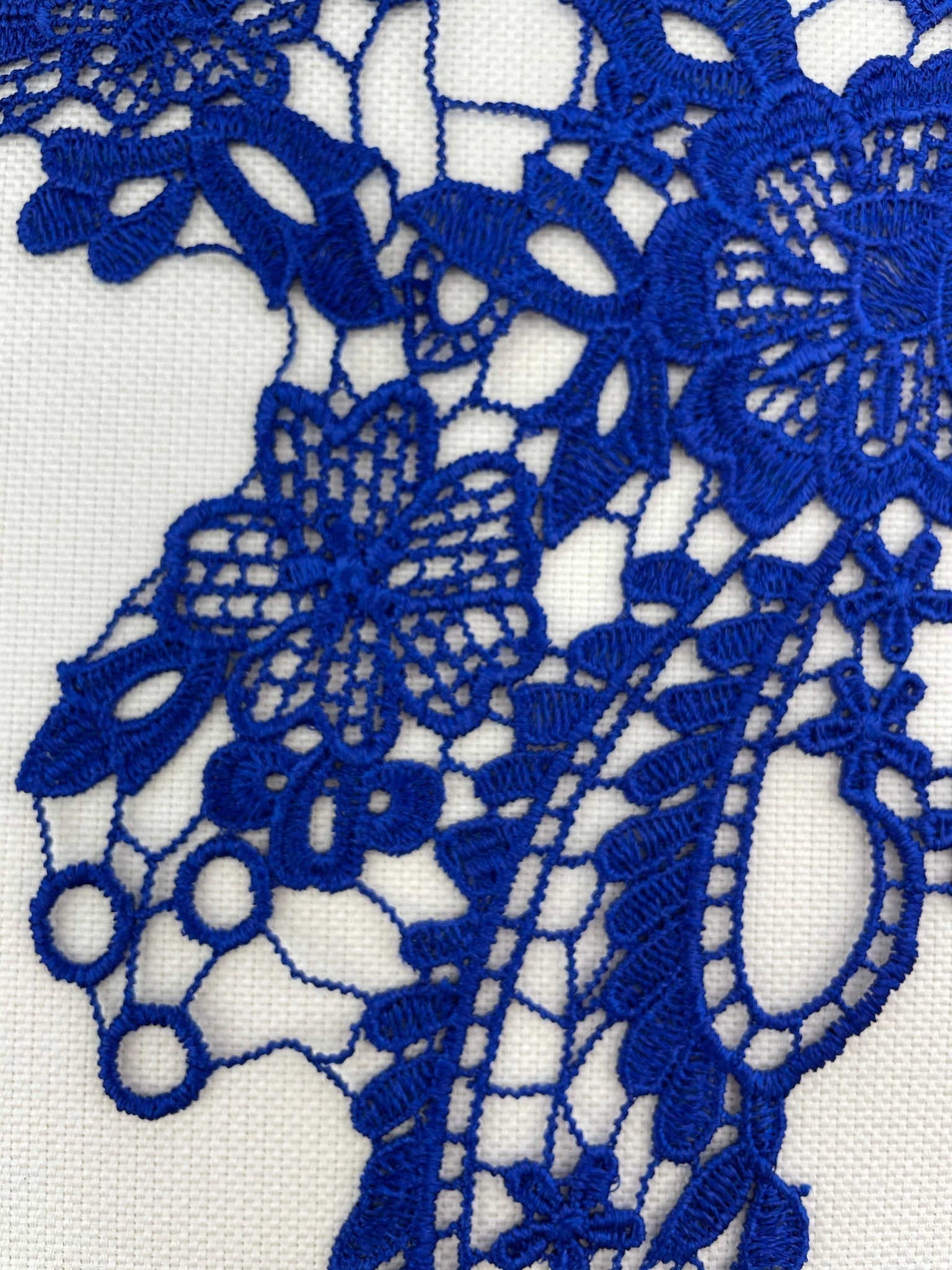 LA - 007 - Royal Blue lace Pair - Aleemahs