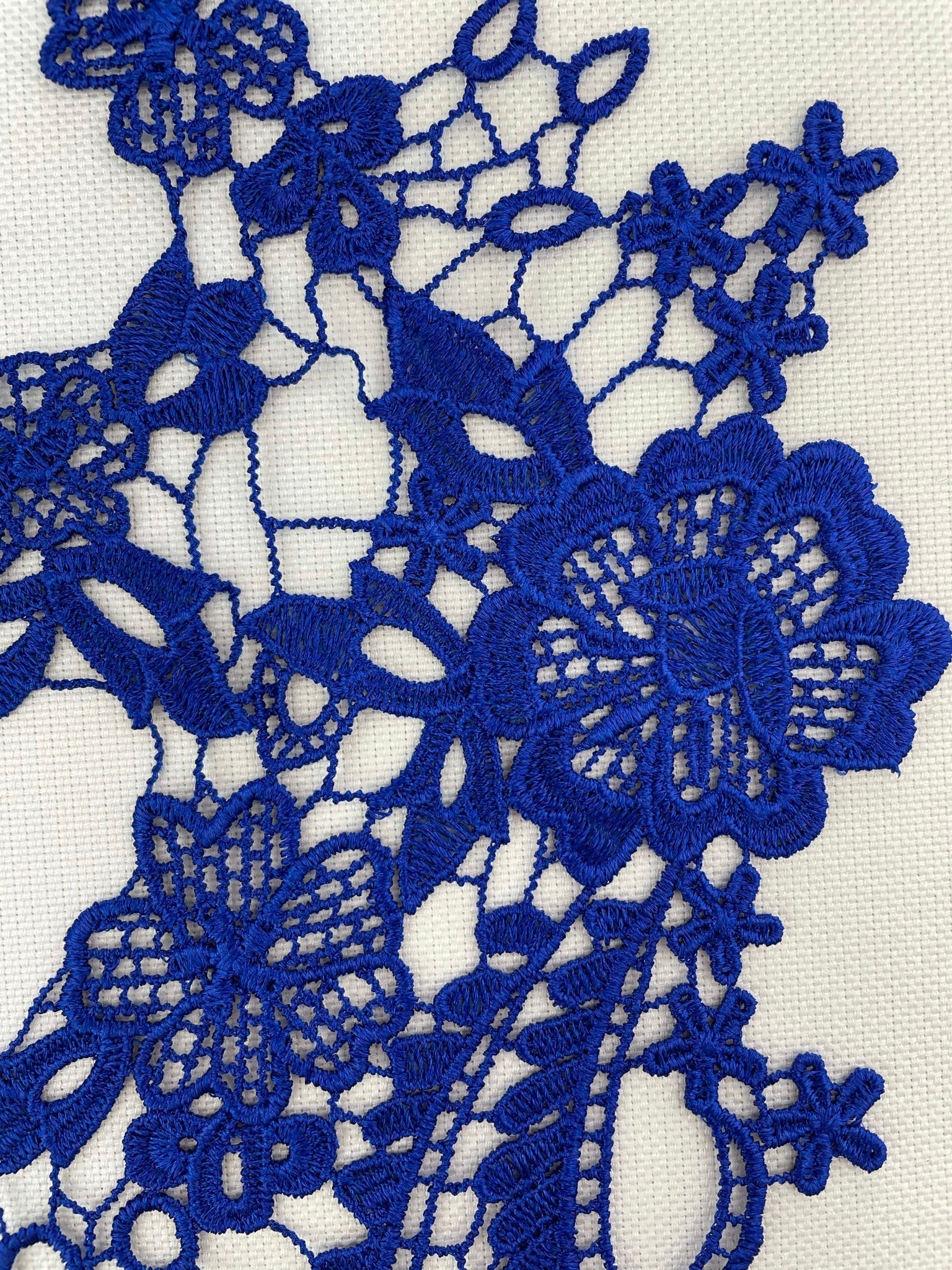 LA - 007 - Royal Blue lace Pair - Aleemahs