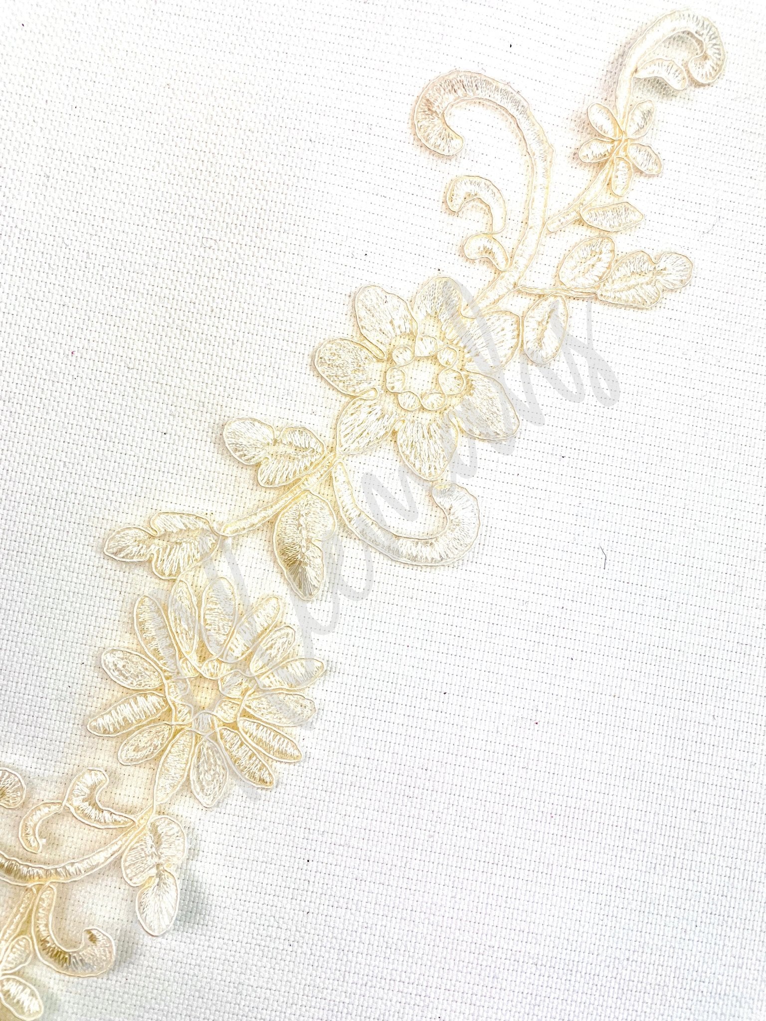 LA - 031: Lace applique pair - Aleemahs