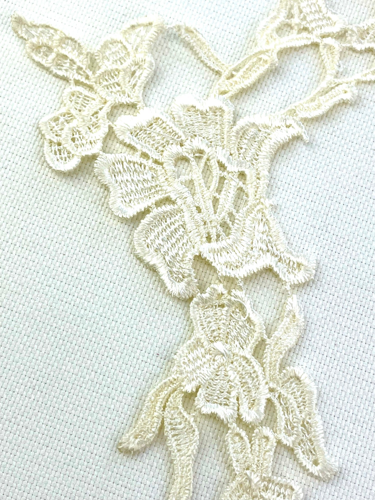 LA - 875: Lace applique Dark Ivory - Aleemahs